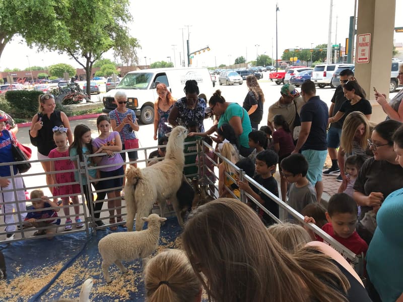 Families visiting animals at an outdoor event